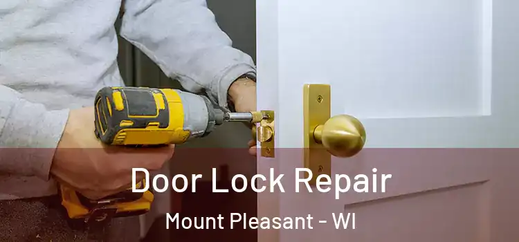 Door Lock Repair Mount Pleasant - WI
