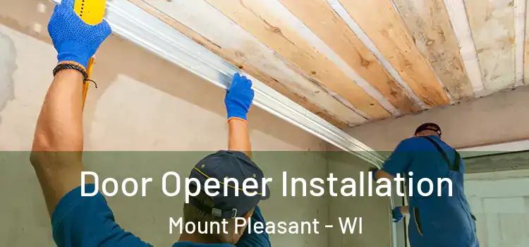 Door Opener Installation Mount Pleasant - WI