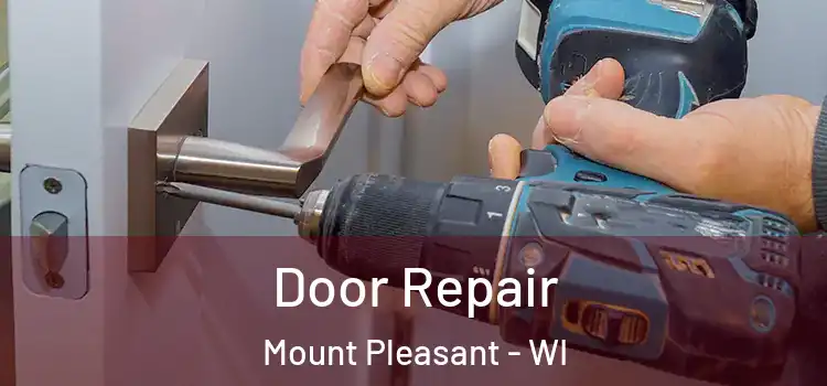 Door Repair Mount Pleasant - WI