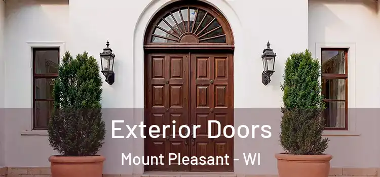  Exterior Doors Mount Pleasant - WI
