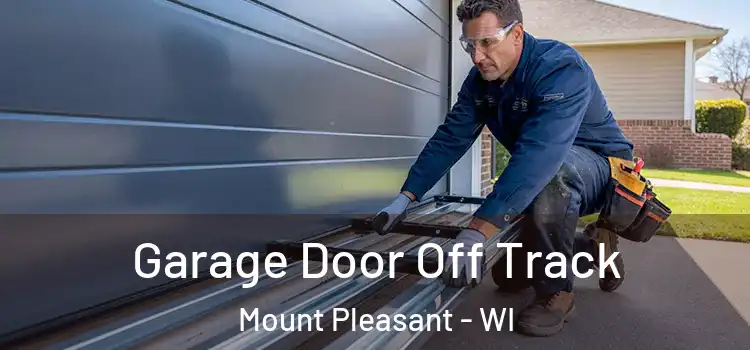  Garage Door Off Track Mount Pleasant - WI