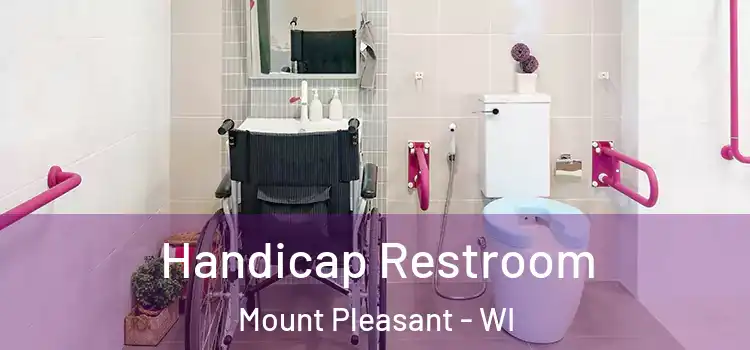 Handicap Restroom Mount Pleasant - WI