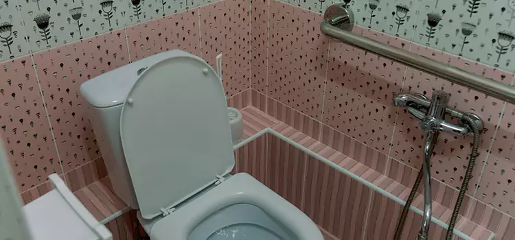 Meeting Diverse Needs With Accessible Restroom Solutions in Mount Pleasant, WI