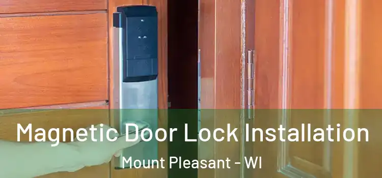 Magnetic Door Lock Installation Mount Pleasant - WI