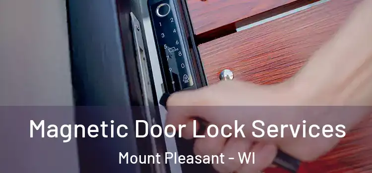 Magnetic Door Lock Services Mount Pleasant - WI