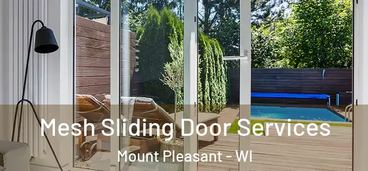 Mesh Sliding Door Services Mount Pleasant - WI