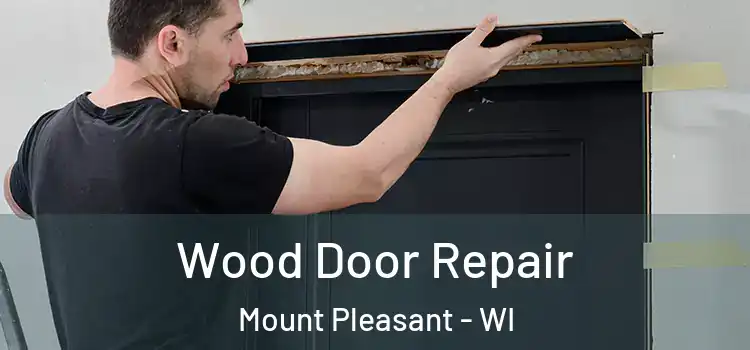  Wood Door Repair Mount Pleasant - WI
